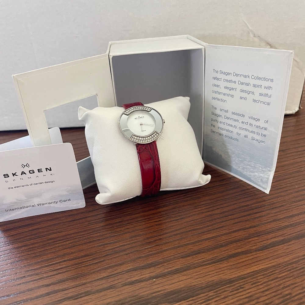 Skagen watch